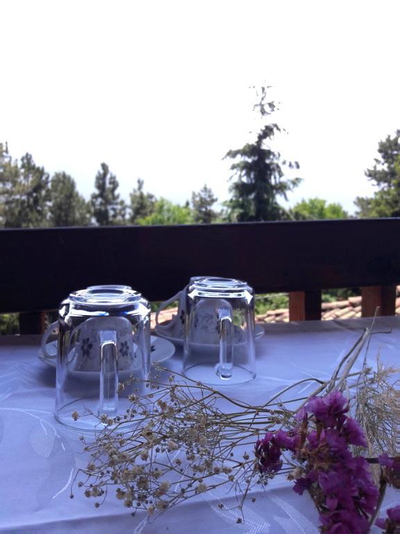 Chardak Apartments Ohrid Bagian luar foto