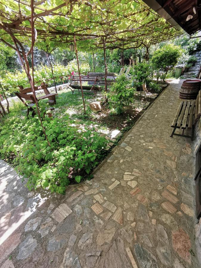 Chardak Apartments Ohrid Bagian luar foto